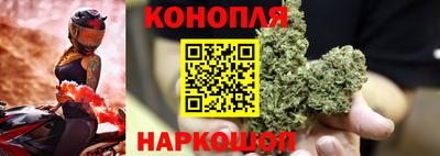 стаф Краснокаменск