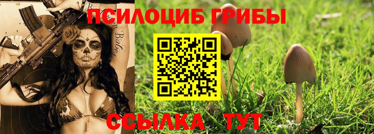 Галлюциногенные грибы Psilocybe Казань