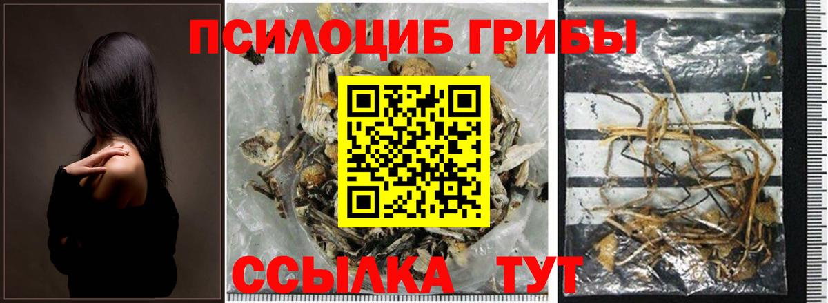 Псилоцибиновые грибы MAGIC MUSHROOMS  Вход с VPN  Казань  Галлюциногенные грибы мицелий 